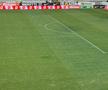 Cum arată gazonul de pe „Arcul de Triumf”, înainte de FCSB - FC Botoșani