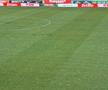 Cum arată gazonul de pe „Arcul de Triumf”, înainte de FCSB - FC Botoșani