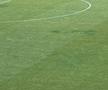 Cum arată gazonul de pe „Arcul de Triumf”, înainte de FCSB - FC Botoșani