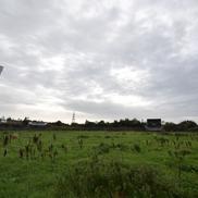 Imagini șocante surprinse acum șapte luni pe Casement Park din West Belfast, cu arena părăsită ce arată ca din perioada interbelică / Foto: GettyImages
