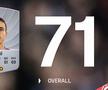 Rating Cisotti