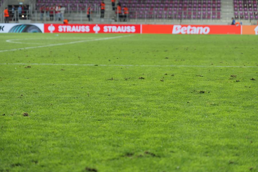 Gazonul de pe Giulești după Hapoel Beer Sheva - Dinamo Zagreb // foto: Andrei Furnigă GSP Daniel Pancu avertizează: „Poate cel mai important meci” + Ce se întâmplă cu Pașcanu înainte de duelul cu FC Argeș
