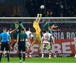 Bogdan Ungureanu boxează o minge la Rapid - Corvinul 2-0 / FOTO: Ionuț Iordache (GSP.ro)