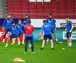 SPANIA - ROMÂNIA // CORESPONDENȚĂ GSP DIN SPANIA / VIDEO+FOTO Zâmbete „tricolore” pe Wanda Metropolitano, la antrenamentul oficial
