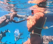 Reacția Arynei Sabalenka când a gustat cel mai scump hot-dog din lume: „Oh, Doamne...” » Cât costă și ce conține