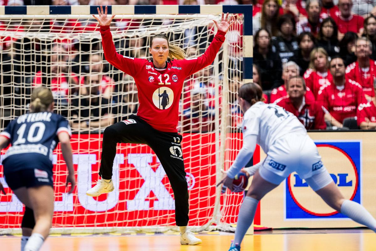 Cele mai spectaculoase imagini de la finala Campionatului Mondial de handbal feminin, Franța - Norvegia