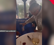Viral: Mircea Lucescu, petrecere cu lăutari alături de Ioan Andone și Cornel Șfaițer