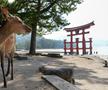 Imagini din Hiroshima / FOTO: GettyImages