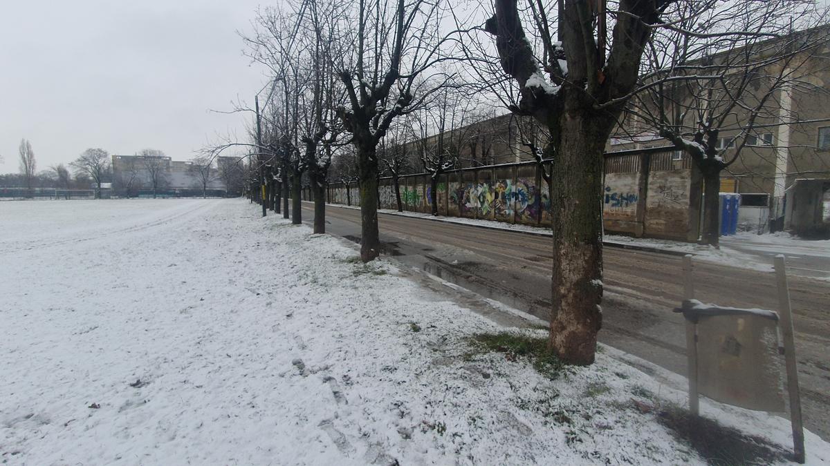 Teren Dedeman - stadion Bacău