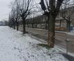 Teren Dedeman - stadion Bacău
