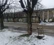 Teren Dedeman - stadion Bacău
