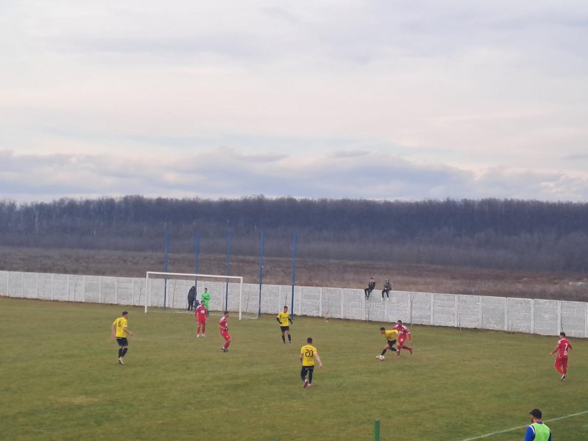 Dinamo - FC Brașov 2-1. Victorie convingătoare a „câinilor” cu o rivală la promovare!