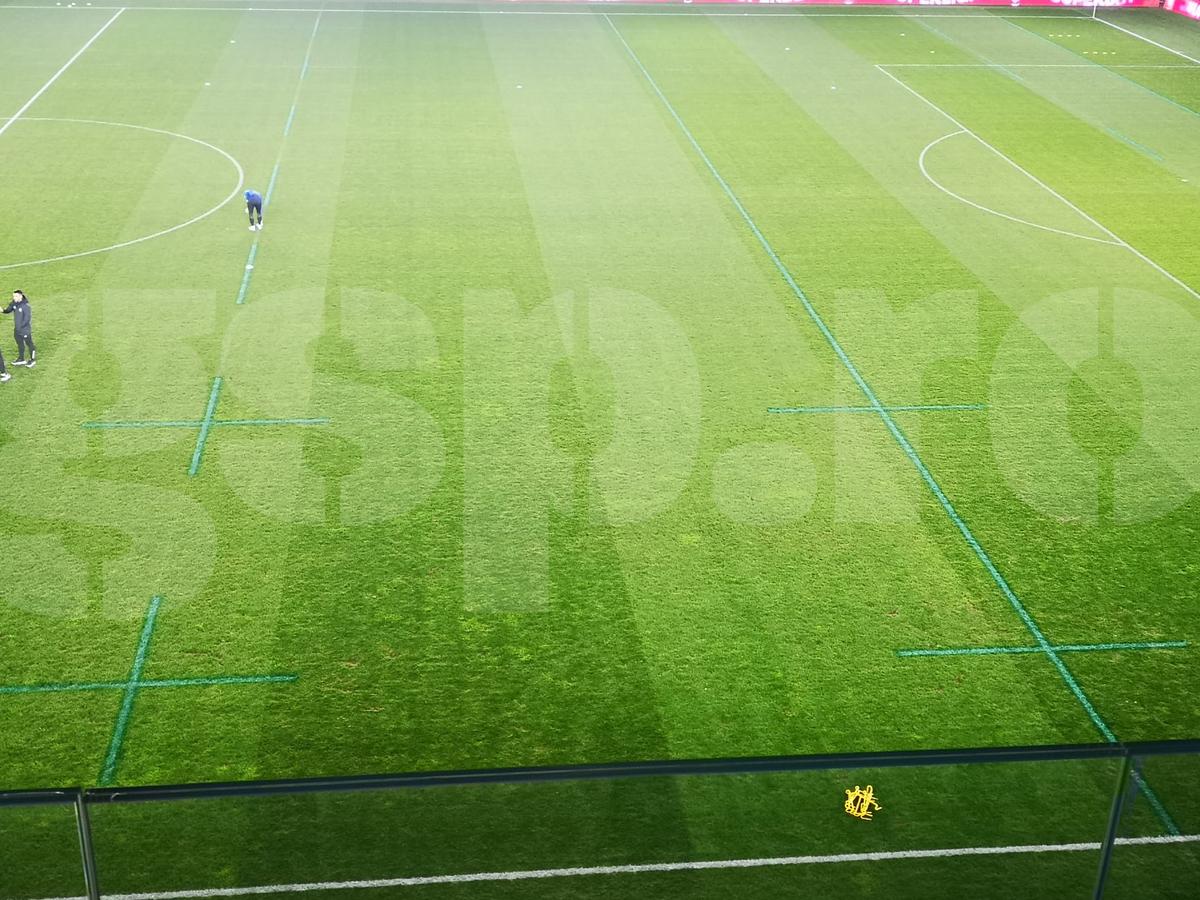 Imagini înainte de Dinamo - Oțelul