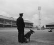 Imagini vechi de pe Goodison Park