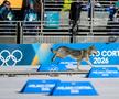 Un câine pe traseu la Jocurile Olimpice, foto: Imago