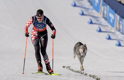 Apariție neașteptată pe pista de schi fond de la Jocurile Olimpice, a declanșat fotografia de finiș!
