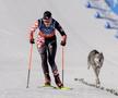Un câine pe traseu la Jocurile Olimpice, foto: Imago