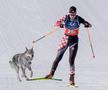 Un câine pe traseu la Jocurile Olimpice, foto: Imago