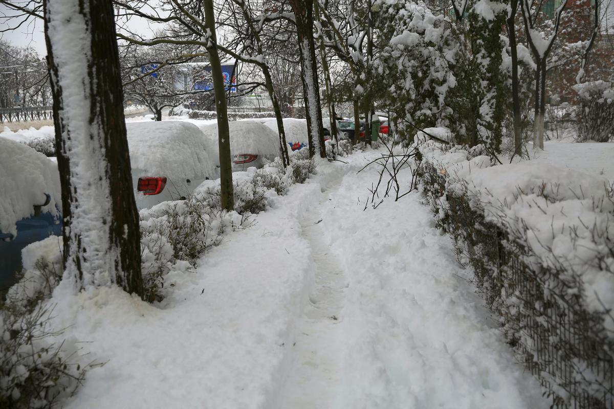 Zăpadă București - februarie 2026