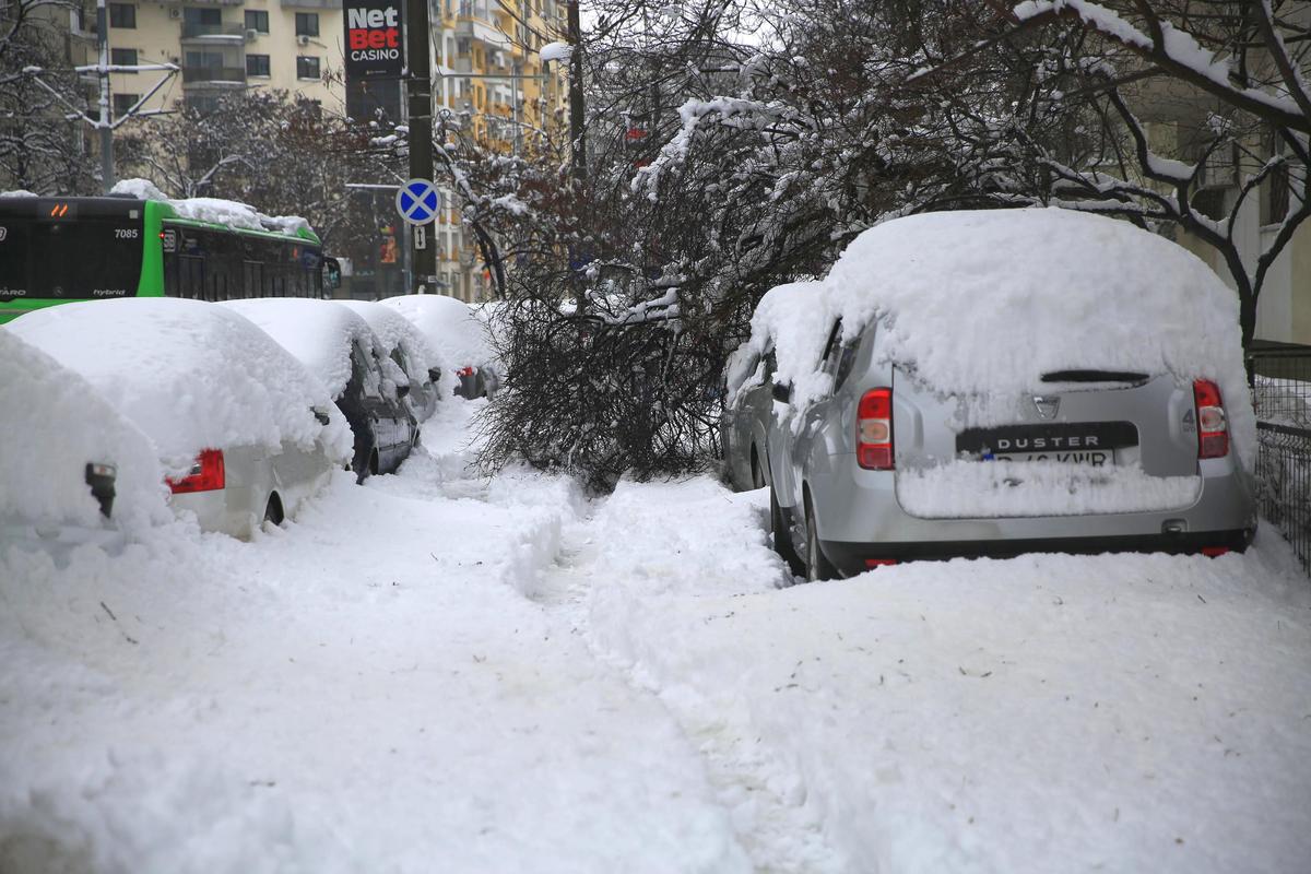 Zăpadă București - februarie 2026