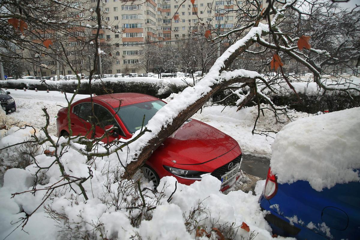 Zăpadă București - februarie 2026