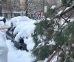 Iarna a pus stăpânire pe București - 18 februarie 2026. Foto: Ionuț Iordache (GSP.RO)