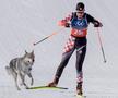 Un câine pe traseu la Jocurile Olimpice, foto: Imago