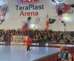 Imagini înainte de Gloria Bistrița - Brest