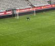 România - Cipru, la fotbal feminin