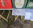 Aici vom juca împotriva Belgiei: stadionul la care ajungi prin pădure! » Ponturi de la echipa GSP aflată în Germania: vă vor ajuta enorm și scăpați de un stres