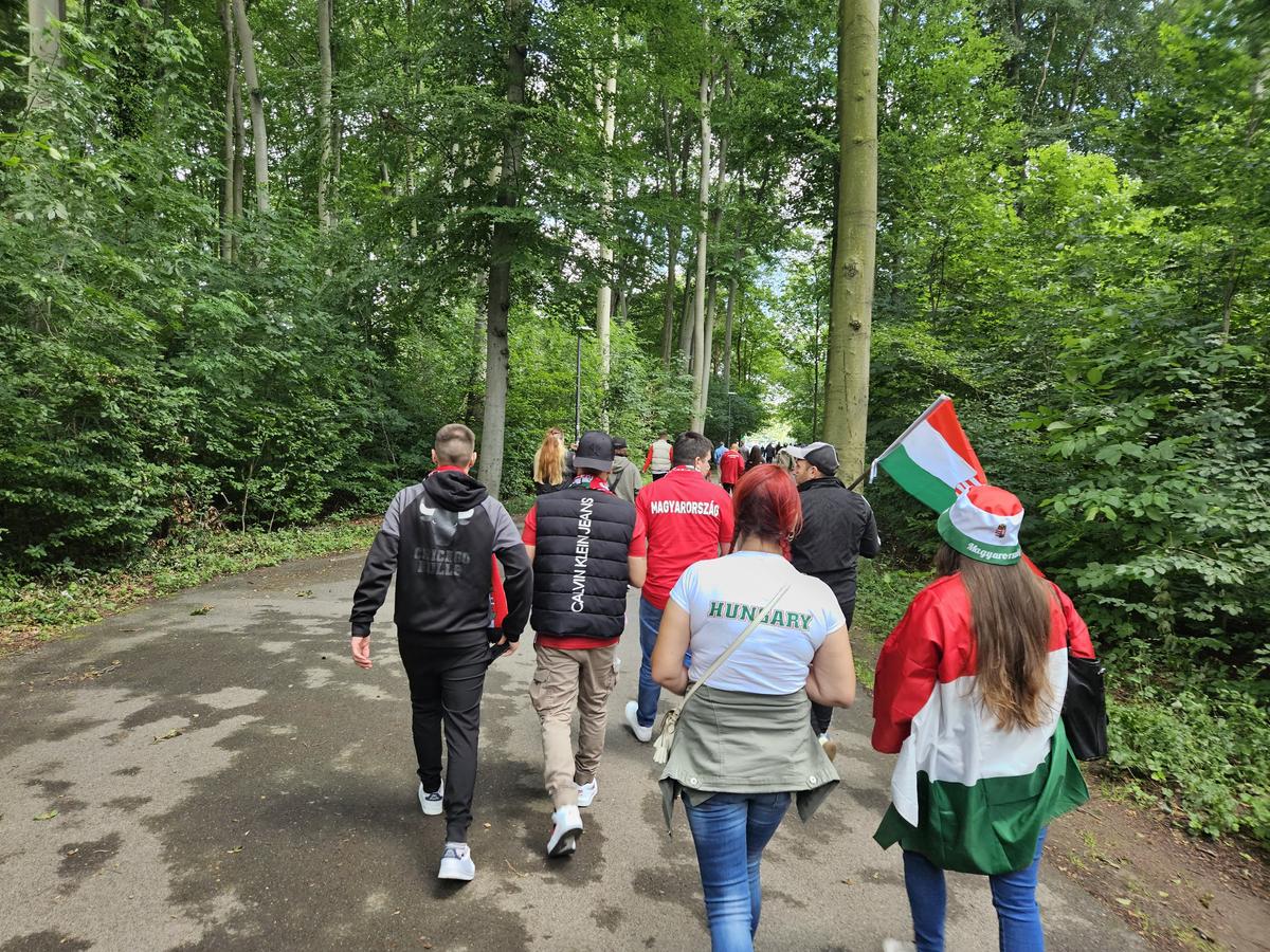Stadionul de lângă pădure. Aici, vom juca împotriva Belgiei. Ponturile Gazetei pentru o experiență de neuitat la Koln