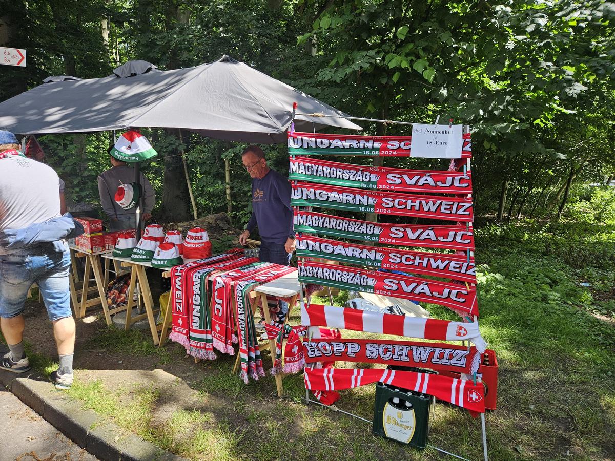 Aici vom juca împotriva Belgiei: stadionul la care ajungi prin pădure! » Ponturi de la echipa GSP aflată în Germania: vă vor ajuta enorm și scăpați de un stres