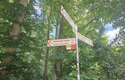 Aici vom juca împotriva Belgiei: stadionul la care ajungi prin pădure! » Ponturi de la echipa GSP aflată în Germania: vă vor ajuta enorm și scăpați de un stres