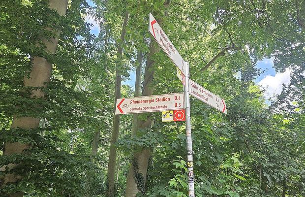 Aici vom juca împotriva Belgiei: stadionul la care ajungi prin pădure! » Ponturi de la echipa GSP aflată în Germania: vă vor ajuta enorm și scăpați de un stres