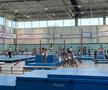 Sala „Nadia Comăneci”, inaugurată » Nadia, Ion Țiriac și Ilie Bolojan au tăiat panglica