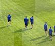 petrolul - fcu craiova - etapa 6