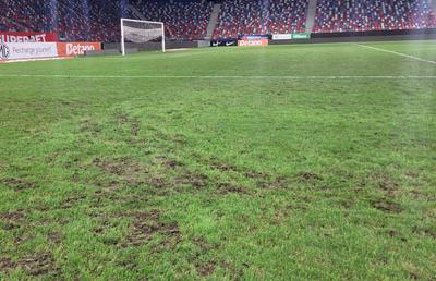 Cum arăta gazonul din Ghencea la finalul meciului FCSB - Poli Iași