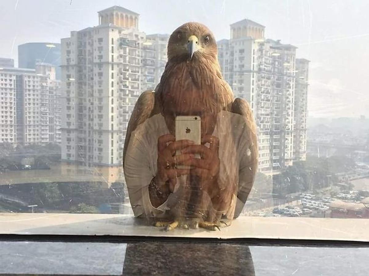 FOTO Imagini geniale realizate la momentul potrivit: 27 de poze care îți vor capta atenția