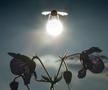 Foto: mike_pants