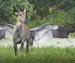 Foto: Jagdeep Rajput
