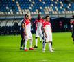 FOTO: facebook.com/hermannstadt.fc