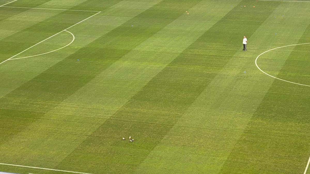 FCU Craiova - FCSB. Gazonul de pe „Oblemenco”