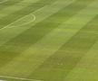 FCU Craiova - FCSB. Gazonul de pe „Oblemenco”