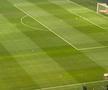 FCU Craiova - FCSB. Gazonul de pe „Oblemenco”