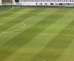 FCU Craiova - FCSB. Gazonul de pe „Oblemenco”