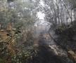 Incendii devastatoare în nordul Portugaliei. Foto: Imago Images