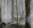 Incendii devastatoare în nordul Portugaliei. Foto: Imago Images