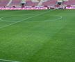 Rapid - FC Argeș, imagini înainte de meci