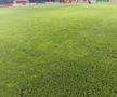 Rapid - FC Argeș, imagini înainte de meci