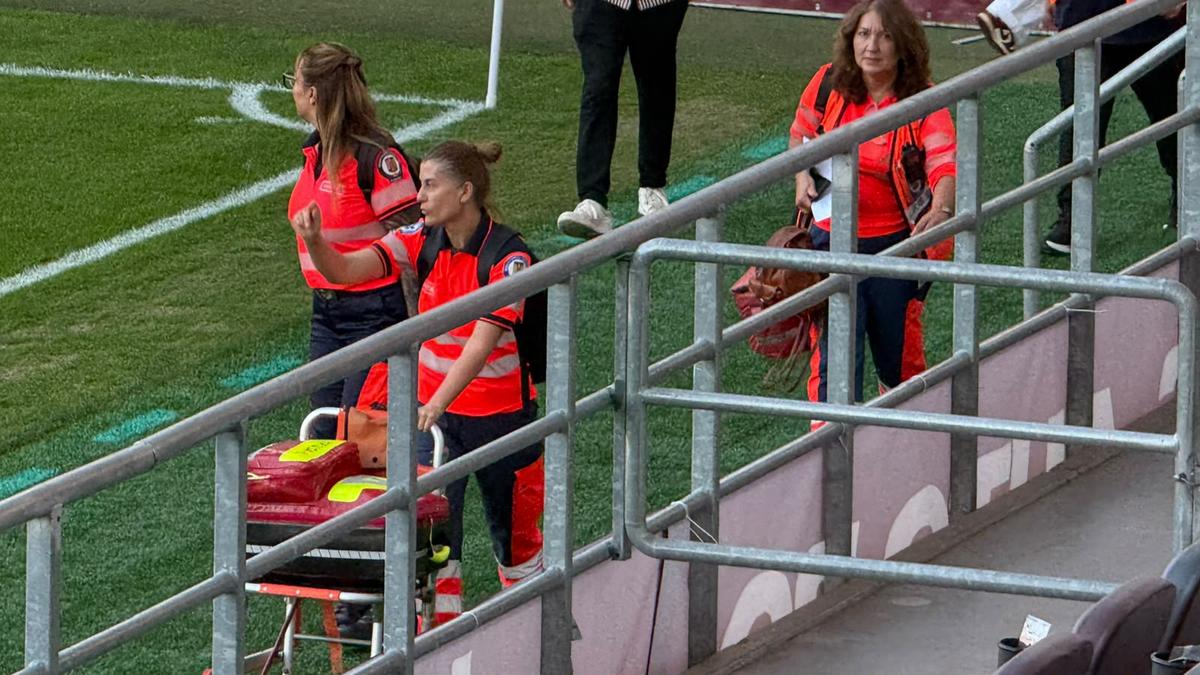 Rapid - FC Argeș, imagini înainte de meci